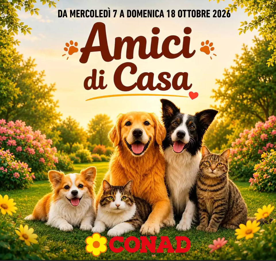 261008-vol_amici-1007-1018